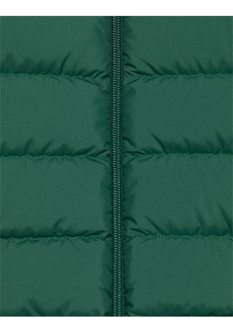 Piumino Baudinet Verde MONCLER ENFANT | 1A000-78 54A81866