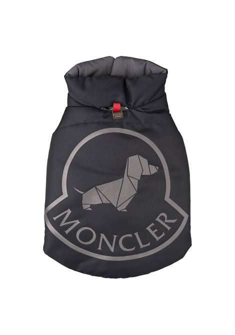 Gilet Imbottito Per Cani In Blu e Grigio Con Motivo Logo MONCLER | 3G000-08 597T9P70