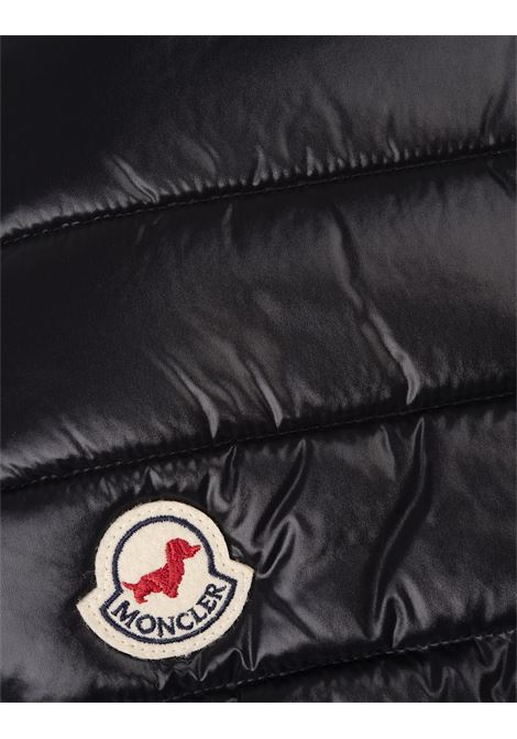 Water-Repellent Padded Gilet For Dogs in Black  MONCLER | 3G000-20 68950999