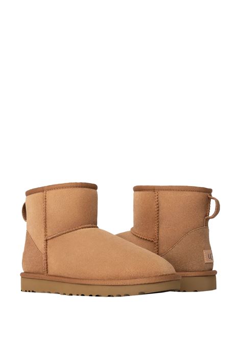 Chestnut Classic Mini II Boots UGG | 1016222CHE