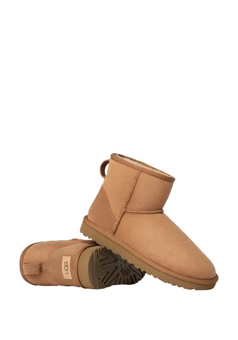 Chestnut Classic Mini II Boots UGG | 1016222CHE